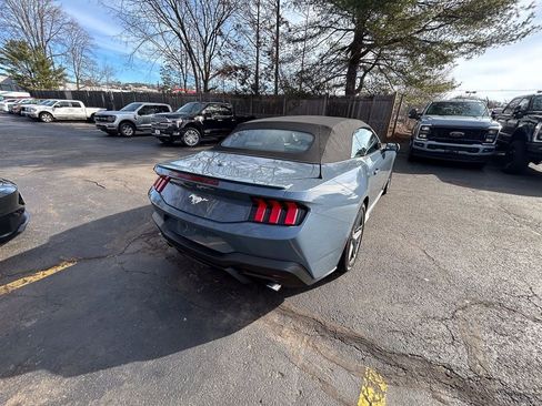 Used 2025 Ford Mustang Premium image 8
