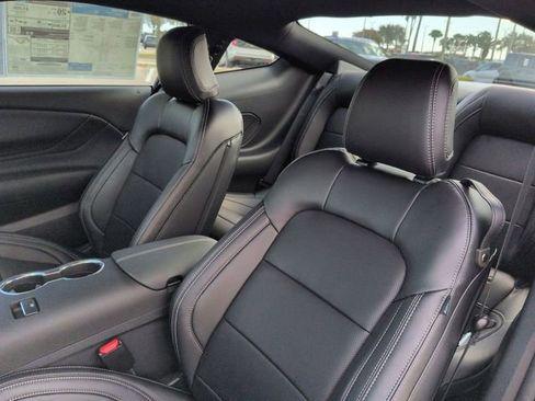 New 2026 Ford Mustang Premium w/ Mustang Nite Pony Package image 15
