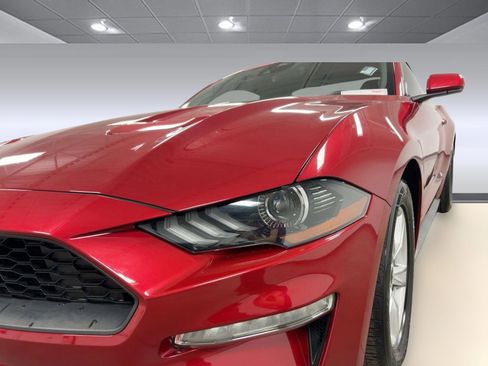 Used 2023 Ford Mustang EcoBoost image 11