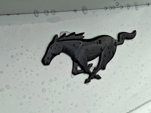 New 2026 Ford Mustang Coupe w/ Mustang Nite Pony Package image 20