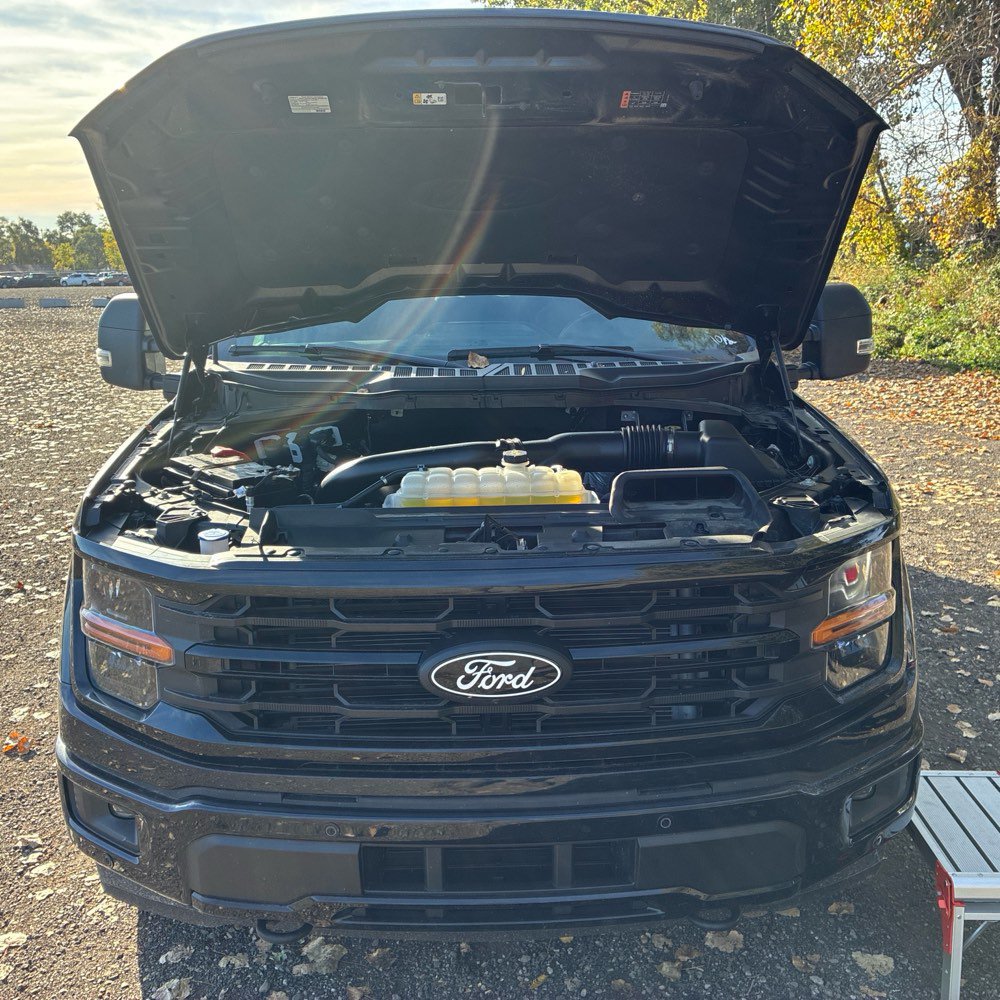 Used 2025 Ford F150 XLT w/ Equipment Group 302A MID AWD/4WD image 16