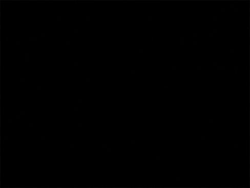 Used 2013 Ford Mustang GT Premium image 12