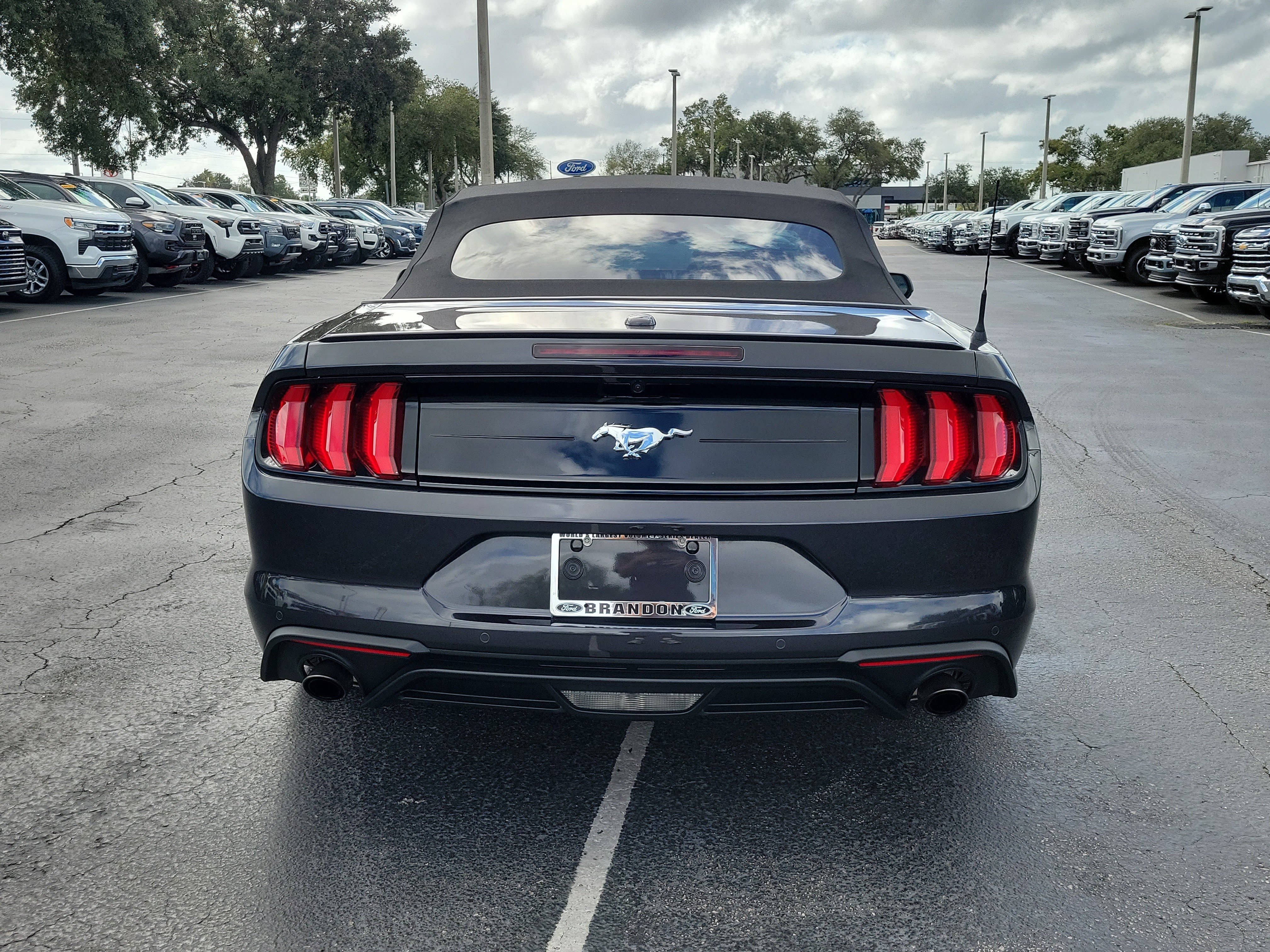 Certified 2023 Ford Mustang Premium w/ Equipment Group 201A RWD image 8