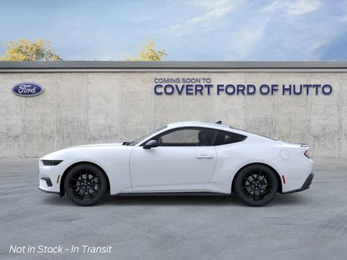 New 2026 Ford Mustang Coupe w/ Mustang Nite Pony Package RWD image 3