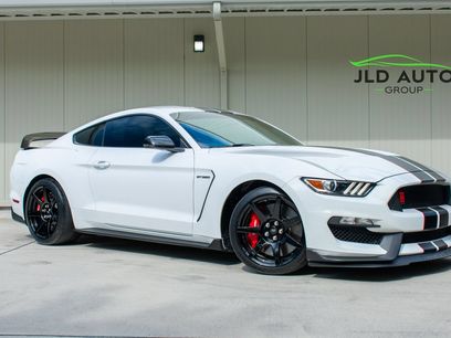 Used 2019 Ford Mustang Shelby GT350R w/ GT350R Equipment Group 920A