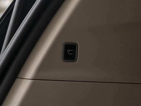 Used 2019 Chrysler Pacifica Touring-L Plus w/ Advanced Safetytec Group image 46