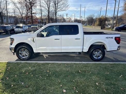 Used 2025 Ford F150 XLT w/ Equipment Group 301A Standard image 5