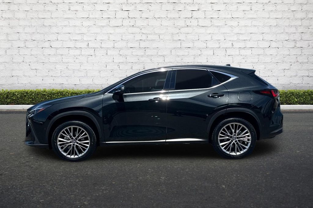 Used 2025 Lexus NX 350h AWD w/ Accessory Package (2T) image 7