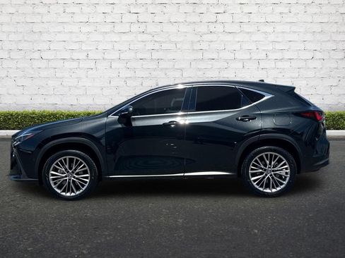 Used 2025 Lexus NX 350h AWD w/ Accessory Package (2T) image 7