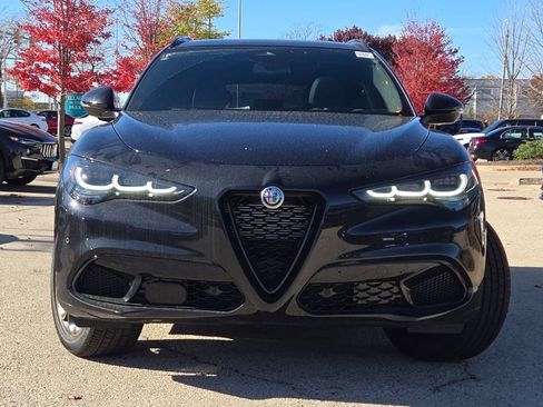 New 2025 Alfa Romeo Stelvio Sprint image 4