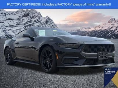 Used 2024 Ford Mustang Coupe w/ Mustang Nite Pony Package