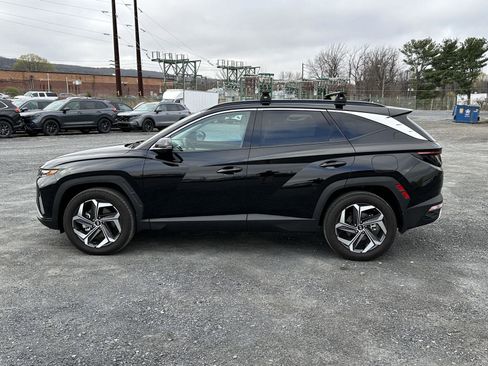 Certified 2023 Hyundai Tucson Limited image 5