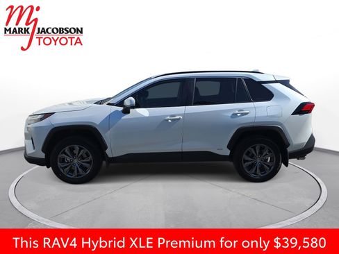 Used 2024 Toyota RAV4 XLE Premium w/ Weather Package AWD/4WD image 14