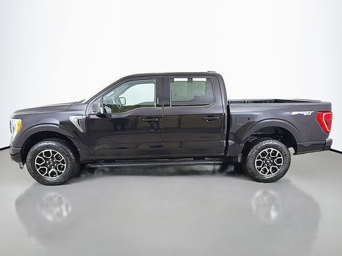 Used 2023 Ford F150 XLT w/ Equipment Group 302A High AWD/4WD image 14