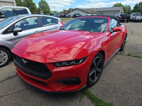 Used 2024 Ford Mustang Premium RWD image 3
