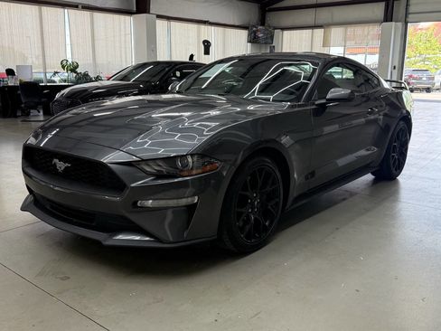 Used 2019 Ford Mustang Coupe w/ Ecoboost Performance Package RWD image 5