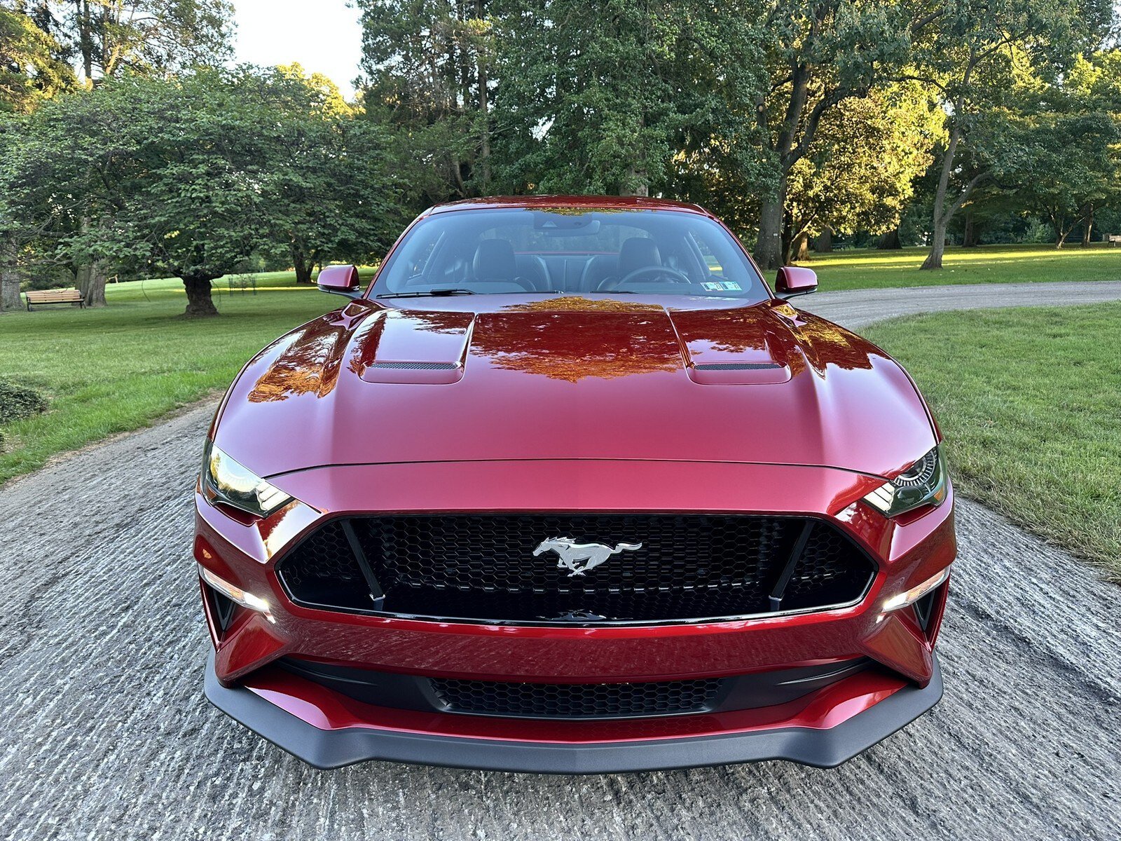 Used 2019 Ford Mustang GT Premium w/ GT Performance Package RWD image 3