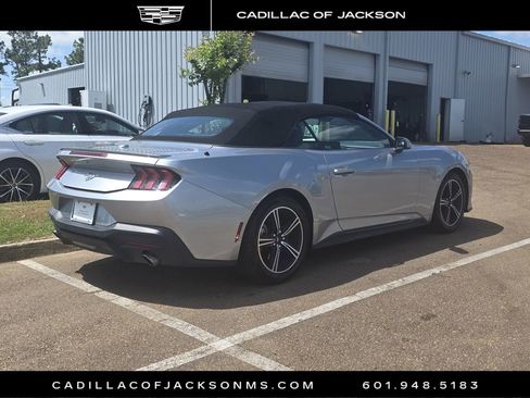 Used 2024 Ford Mustang Premium image 4