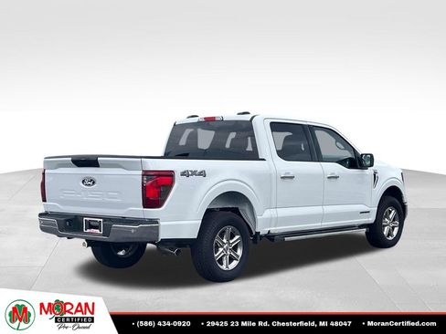Used 2025 Ford F150 XLT w/ Equipment Group 301A Standard AWD/4WD image 5