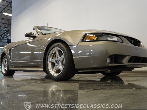 Used 2001 Ford Mustang Cobra RWD image 35