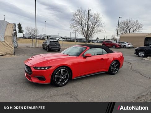 Used 2024 Ford Mustang Premium RWD image 1