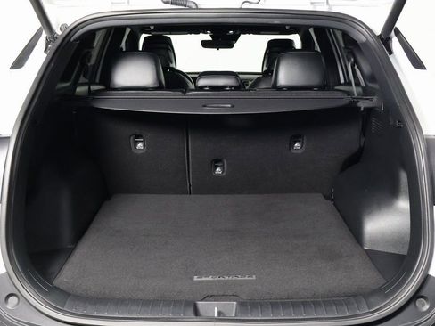 Used 2024 Kia Sportage X-Line w/ X-Line Premium Package image 14