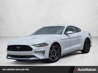 Used 2019 Ford Mustang Coupe w/ Equipment Group 101A RWD video 1