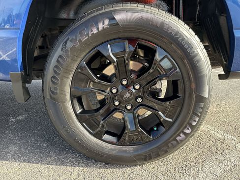 Used 2022 Ford F150 XL w/ STX Black Appearance Package image 18