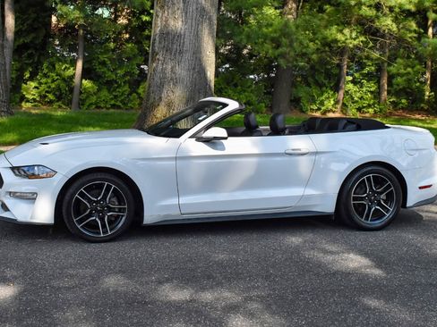 Used 2019 Ford Mustang Premium image 3