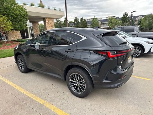 Used 2024 Lexus NX 350h AWD image 4