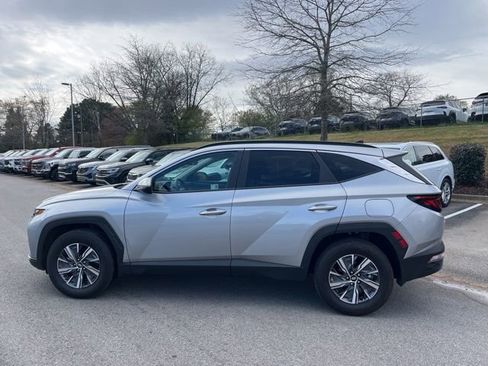 Used 2024 Hyundai Tucson Blue AWD/4WD image 9