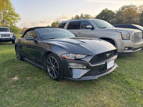 Used 2019 Ford Mustang Premium w/ Equipment Group 201A image 3