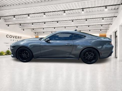 Used 2024 Ford Mustang Premium w/ Mustang Nite Pony Package RWD image 7