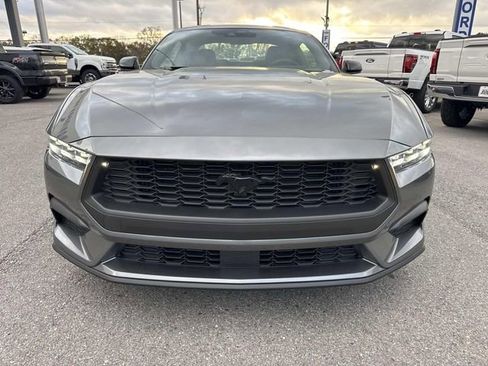 New 2026 Ford Mustang Coupe w/ Mustang Nite Pony Package image 2