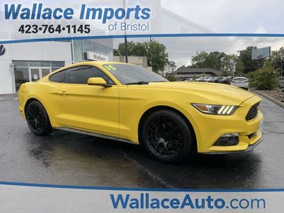 Used 2015 Ford Mustang Coupe w/ Equipment Group 051A