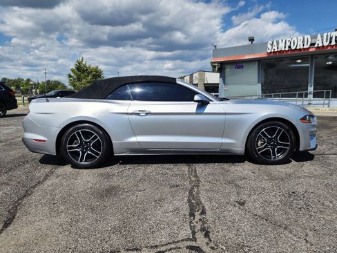 Used 2019 Ford Mustang Premium RWD image 14