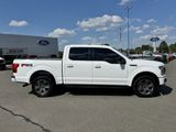 Used 2020 Ford F150 XLT w/ Equipment Group 302A Luxury image 2