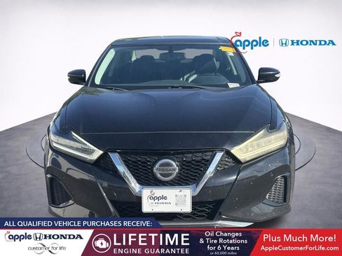 Used 2019 Nissan Maxima 3.5 SL w/ Floor Mat Group FWD image 2