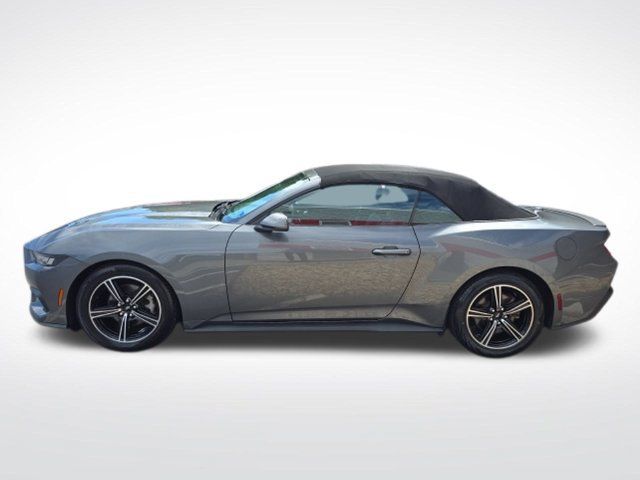 Used 2025 Ford Mustang Premium RWD image 3