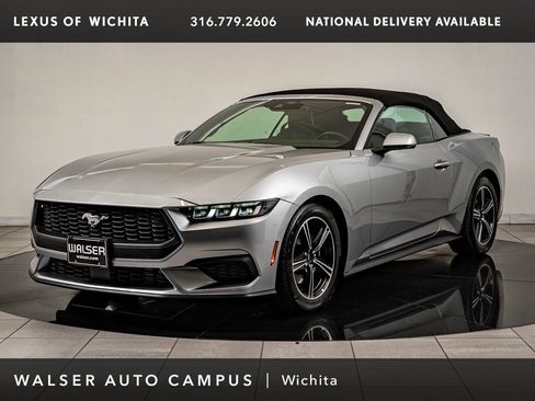 Used 2025 Ford Mustang Premium image 1