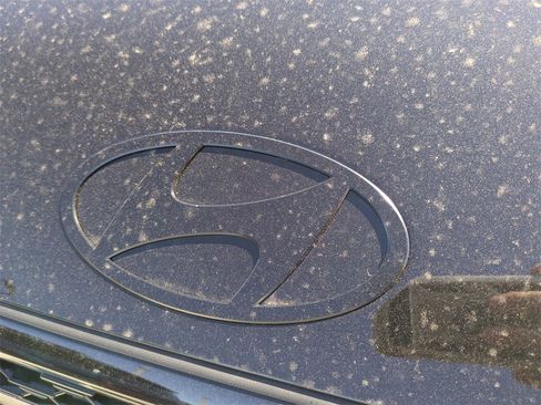 New 2026 Hyundai Santa Fe Calligraphy image 13