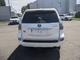 Used 2023 Lexus GX 460 Premium image 4