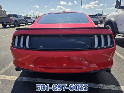 Used 2019 Ford Mustang GT w/ Equipment Group 301A RWD image 4