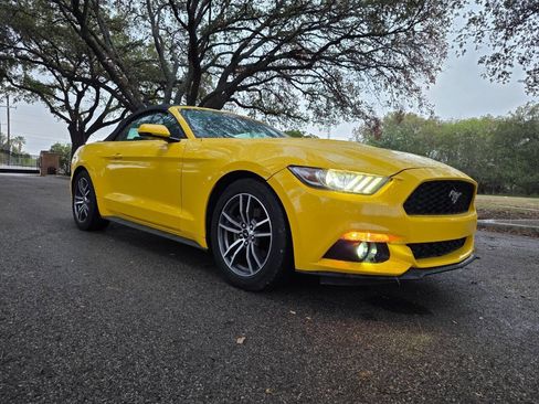 Used 2017 Ford Mustang Premium image 2
