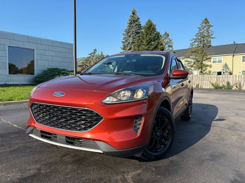 Used 2020 Ford Escape SE AWD/4WD image 2