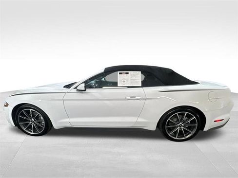 Used 2019 Ford Mustang Premium w/ Equipment Group 201A image 8