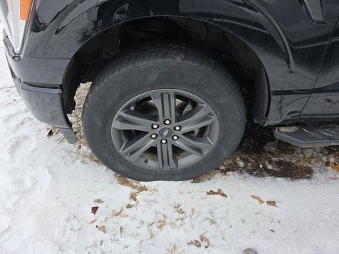 Used 2023 Ford F150 XLT w/ Equipment Group 302A High image 10