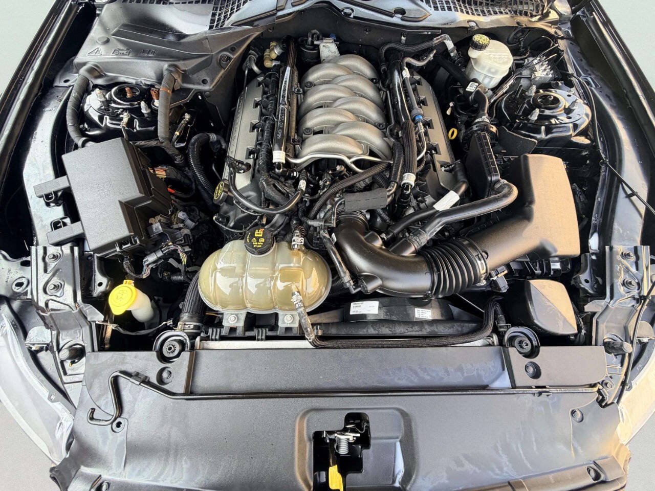 Used 2017 Ford Mustang GT Premium RWD image 10