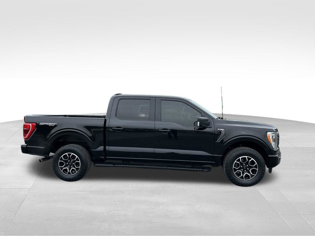 Used 2023 Ford F150 XLT w/ Equipment Group 302A High AWD/4WD image 23