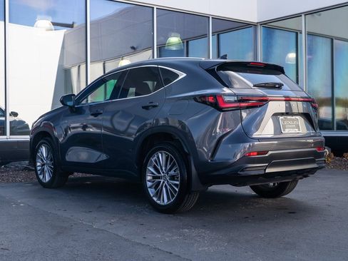 Used 2025 Lexus NX 350h AWD w/ Premium Package image 4